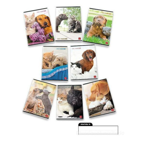 Pigna 8005235100411 quaderno per scrivere A4 42 fogli Multicolore