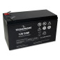 Tecnoware EACPE12V54WTWL batteria UPS Acido piombo (VRLA) 12 V Tecnoware EACPE12V54WTWL batteria UPS Acido piombo (VRLA) 12 V