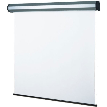 Sopar Electric professional schermo per proiettore 3,43 m (135") 4 3