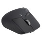 Rapoo MT760L mouse Gaming Mano destra RF senza fili + Bluetooth Ottico 4000 DPI Rapoo MT760L mouse Gaming Mano destra RF senza fili + Bluetooth Ottico 4000 DPI