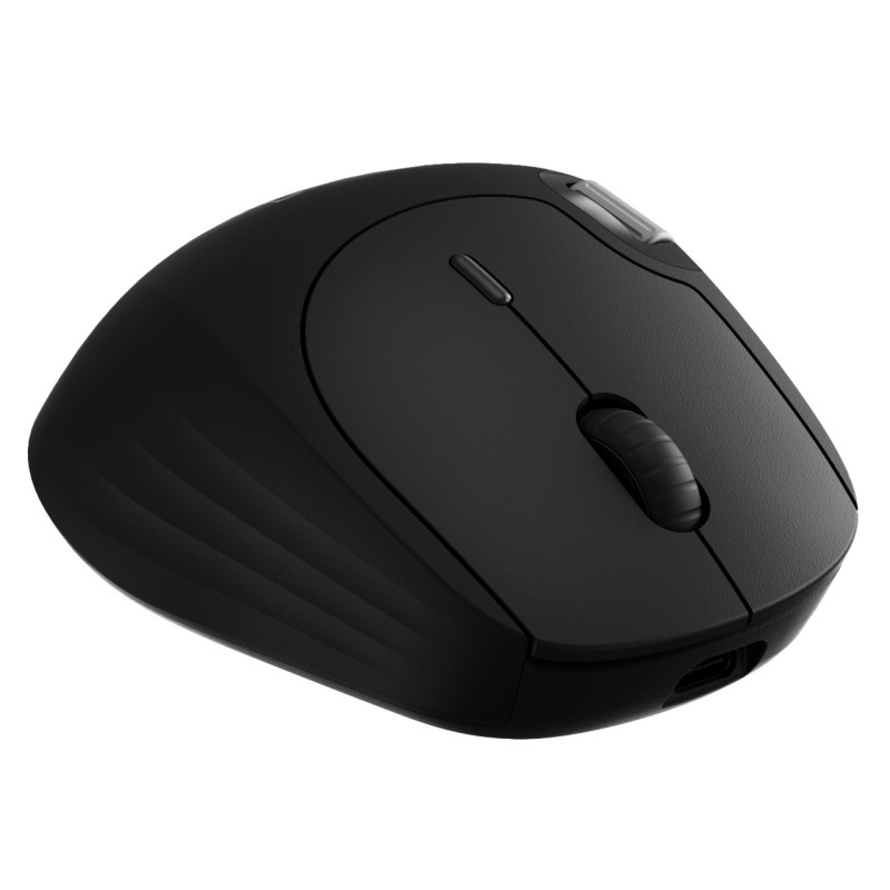 Rapoo MT560 mouse Gaming Mano destra RF senza fili + Bluetooth Ottico 3200 DPI Rapoo MT560 mouse Gaming Mano destra RF senza fili + Bluetooth Ottico 3200 DPI