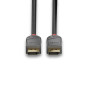 Lindy 36484 cavo DisplayPort 5 m Nero, Grigio Lindy 36484 cavo DisplayPort 5 m Nero, Grigio