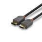 Lindy 36484 cavo DisplayPort 5 m Nero, Grigio Lindy 36484 cavo DisplayPort 5 m Nero, Grigio