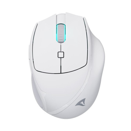 Sharkoon OfficePal M25W mouse Gaming Mano destra RF Wireless + USB Type-C Ottico 4000 DPI