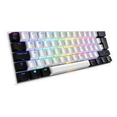Sharkoon SGK50 S4 tastiera Gaming USB QWERTY Italiano Bianco
