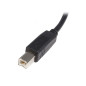 StarTech.com Cavo USB 2.0 per Stampante tipo A/B maschio - maschio - Cavo USB 2.0 A-B 5m - M/M StarTech.com Cavo USB 2.0 per Stampante tipo A/B maschio - maschio - Cavo USB 2.0 A-B 5m - M/M