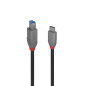 Lindy 36665 cavo USB USB 3.2 Gen 1 (3.1 Gen 1) 0,5 m USB C USB B Nero Lindy 36665 cavo USB USB 3.2 Gen 1 (3.1 Gen 1) 0,5 m USB C USB B Nero