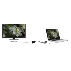 LINK Adattatore Displayport Maschio - Hdmi Femmina