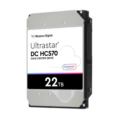 Western Digital Ultrastar DC HC570 disco rigido interno 22 TB 7200 Giri/min 512 MB 3.5" Serial ATA III