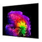 LG OLED evo AI 55'' Serie G6 OLED55G64LW, 4K, Hyper Radiant Color, Staffa a filo muro inclusa, G-Sync, SMART TV 2026