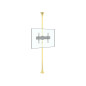 Multibrackets 5709 Supporto per display espositivi 165,1 cm (65") Nero, Ottone