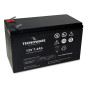 Tecnoware EACPE12V7A2TWP batteria UPS Polimero 12 V 7,2 Ah Tecnoware EACPE12V7A2TWP batteria UPS Polimero 12 V 7,2 Ah