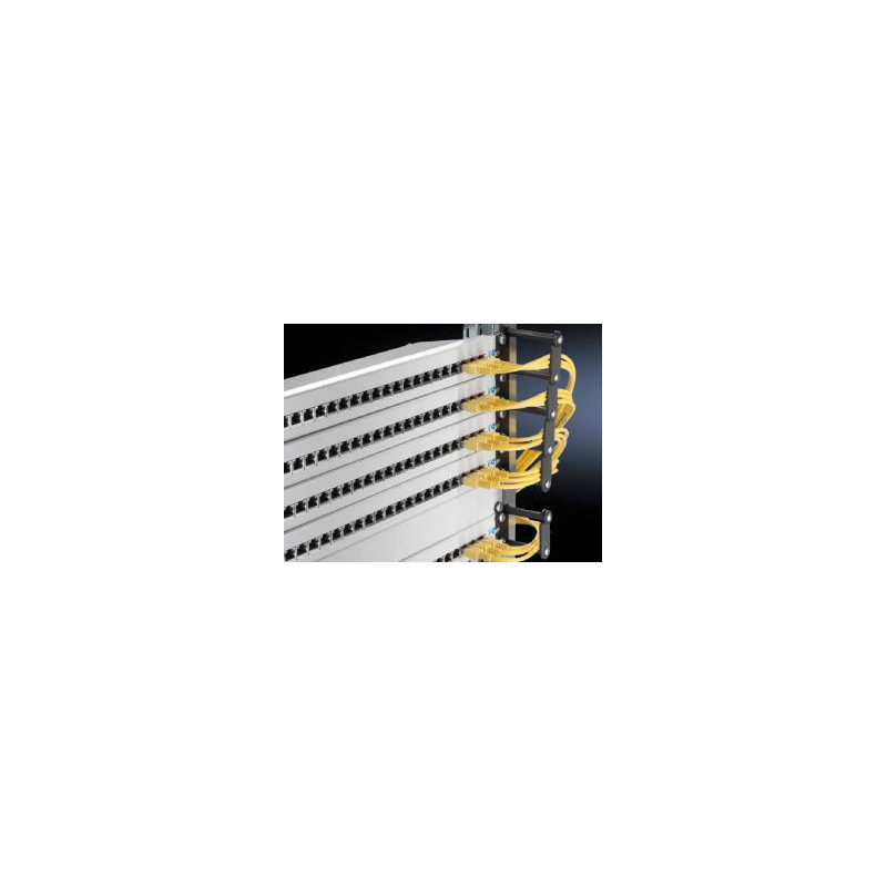 Rittal DK 7111.214 Rittal DK 7111.214