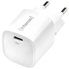 Intenso W30C² GaN Universale Bianco AC Ricarica rapida Interno