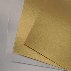 Canson Iris Vivaldi Foglio d'arte 50 fogli