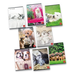 Pigna 8005235100404 quaderno per scrivere A4 42 fogli Multicolore