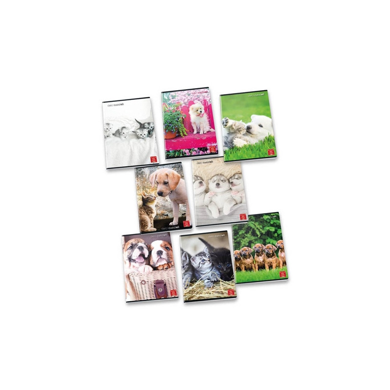 Pigna 8005235100404 quaderno per scrivere A4 42 fogli Multicolore Pigna 8005235100404 quaderno per scrivere A4 42 fogli Multicolore