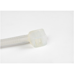 StarTech.com Fascetta Fermacavi da 10cm - Fascetta in Plastica Stringicavo Larga 2mm, Diametro del Fascio 22mm, Resistenza alla