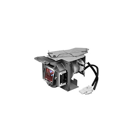 BenQ 5J.J9V05.001 lampada per proiettore