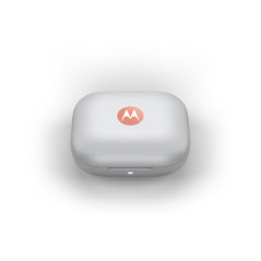 Motorola Moto Buds Cuffie Wireless In-ear Chiamate Musica Sport Tutti i giorni Bluetooth Corallo