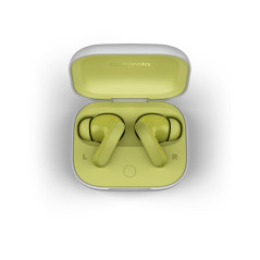 Motorola PG38C05790 cuffia e auricolare Wireless In-ear Chiamate Musica Sport Tutti i giorni Bluetooth Verde