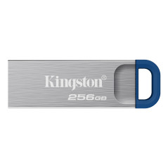 Kingston Technology DataTraveler 256GB ® Kyson 220 MB s USB 3.2 Gen 1 in metallo