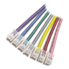 APC 10ft Cat5e UTP cavo di rete Grigio 3,05 m U UTP (UTP)