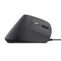 Trust Bayo II mouse Mano destra USB tipo A 2400 DPI 25144