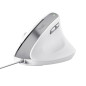 Trust Bayo II mouse Ufficio Mano destra USB tipo A Ottico 2400 DPI 25397 Trust Bayo II mouse Ufficio Mano destra USB tipo A Ottico 2400 DPI 25397