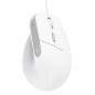 Trust Bayo II mouse Ufficio Mano destra USB tipo A Ottico 2400 DPI 25397 Trust Bayo II mouse Ufficio Mano destra USB tipo A Ottico 2400 DPI 25397