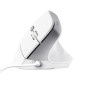Trust Bayo II mouse Ufficio Mano destra USB tipo A Ottico 2400 DPI 25397 Trust Bayo II mouse Ufficio Mano destra USB tipo A Ottico 2400 DPI 25397