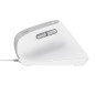 Trust Bayo II mouse Ufficio Mano destra USB tipo A Ottico 2400 DPI 25397 Trust Bayo II mouse Ufficio Mano destra USB tipo A Ottico 2400 DPI 25397