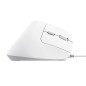 Trust Bayo II mouse Ufficio Mano destra USB tipo A Ottico 2400 DPI 25397 Trust Bayo II mouse Ufficio Mano destra USB tipo A Ottico 2400 DPI 25397