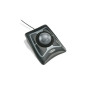 Kensington Trackball ottica Expert Kensington Trackball ottica Expert