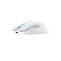 ASUS ROG Harpe Ace Mini mouse Gaming Ambidestro RF Wireless + Bluetooth + USB Type-C Ottico 42000 DPI 90MP03Z0-BMUA10 ASUS ROG Harpe Ace Mini mouse Gaming Ambidestro RF Wireless + Bluetooth + USB Type-C Ottico 42000 DPI 90MP03Z0-BMUA10