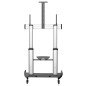 StarTech.com Mobile TV Stand girevole su ruote - Carrello porta TV resistente per schermi da 60-100" (100kg) - Suppor STNDMTV100