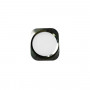 White Home Button For Iphone 6 - 6 Plus White