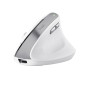 Trust Bayo II mouse Ufficio Mano destra RF Wireless Ottico 2400 DPI 25398