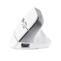 Trust Bayo II mouse Ufficio Mano destra RF Wireless Ottico 2400 DPI 25398
