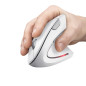 Trust Verto mouse Ufficio Mano destra RF Wireless Ottico 1600 DPI 25132 Trust Verto mouse Ufficio Mano destra RF Wireless Ottico 1600 DPI 25132