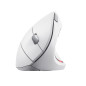 Trust Verto mouse Ufficio Mano destra RF Wireless Ottico 1600 DPI 25132 Trust Verto mouse Ufficio Mano destra RF Wireless Ottico 1600 DPI 25132