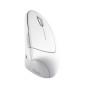Trust Verto mouse Ufficio Mano destra RF Wireless Ottico 1600 DPI 25132 Trust Verto mouse Ufficio Mano destra RF Wireless Ottico 1600 DPI 25132
