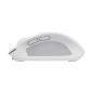 Trust Ozaa mouse Ufficio Mano destra RF senza fili + Bluetooth Ottico 3200 DPI 24933