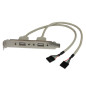 StarTech.com Adattatore piastra slot USB A femmina 2 porte StarTech.com Adattatore piastra slot USB A femmina 2 porte
