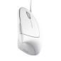 Trust Verto mouse Ufficio Mano destra USB tipo A Ottico 1600 DPI 25133