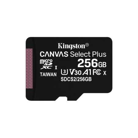 Kingston Technology Scheda micSDXC Canvas Select Plus 100R A1 C10 da 256GB confezione singola senza adattatore SDCS2/256GBSP