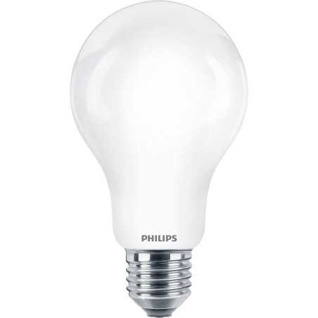 Philips Lampadina smerigliata a filamento 120 W A67 E27 929002371901