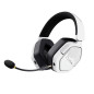 Trust GXT 493W Carus Auricolare Con cavo e senza cavo A Padiglione, Casco Gaming USB Type-C / USB Type-A Bluetooth Bianco Trust GXT 493W Carus Auricolare Con cavo e senza cavo A Padiglione, Casco Gaming USB Type-C / USB Type-A Bluetooth Bianco