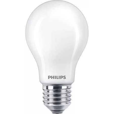 Philips Lampadina smerigliata a filamento 100 W A60 E27 929002026455