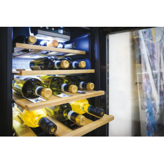 Candy CWCEL 210 NF Cantinetta termoelettrica Libera installazione Nero 21 bottiglia bottiglie
